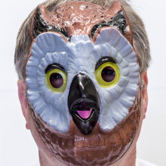 Owl Mask 1 1.jpg