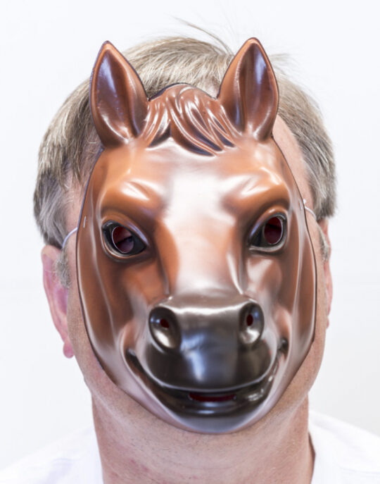 Plastic Horse Mask 1 1.jpg