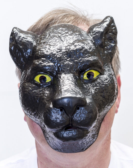 Plastic Panther Mask 1 1.jpg