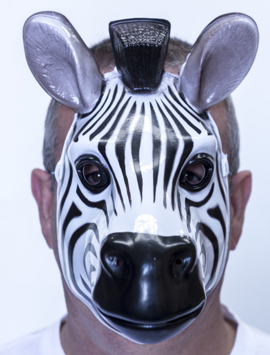 Plastic Zebra Mask 1 1.jpg