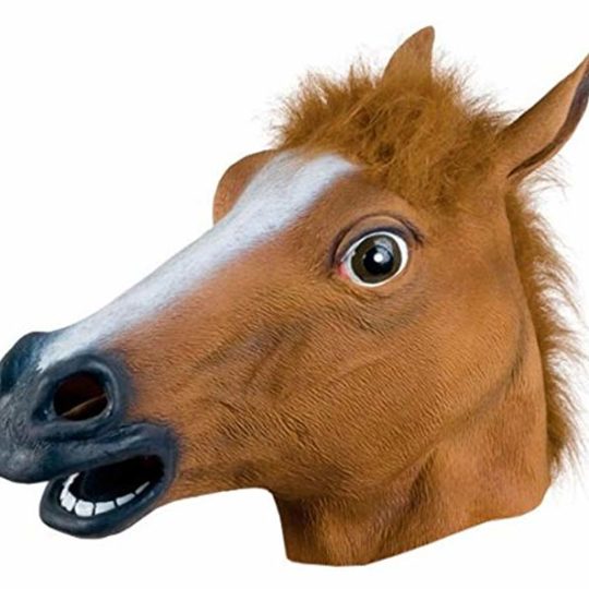 Rubber Horse Mask 1 1.jpg