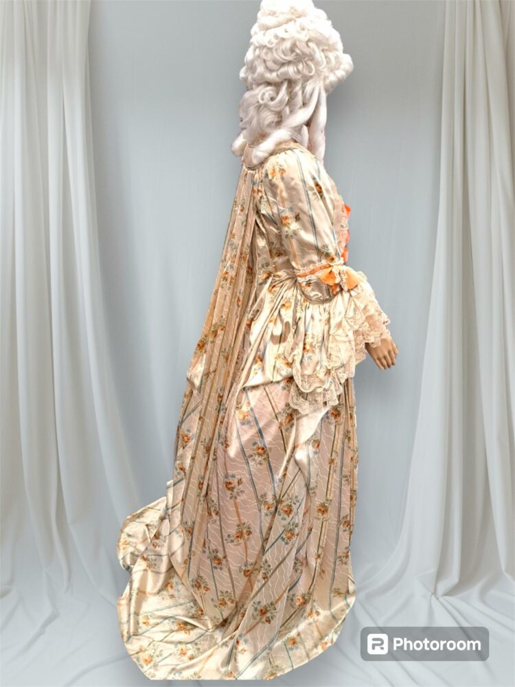 marie antoinette cage costume