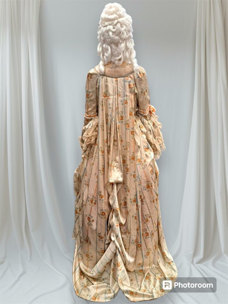 marie antoinette cage costume