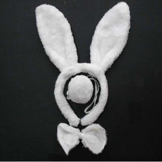 Bunny Ears Kit 2 1.jpg