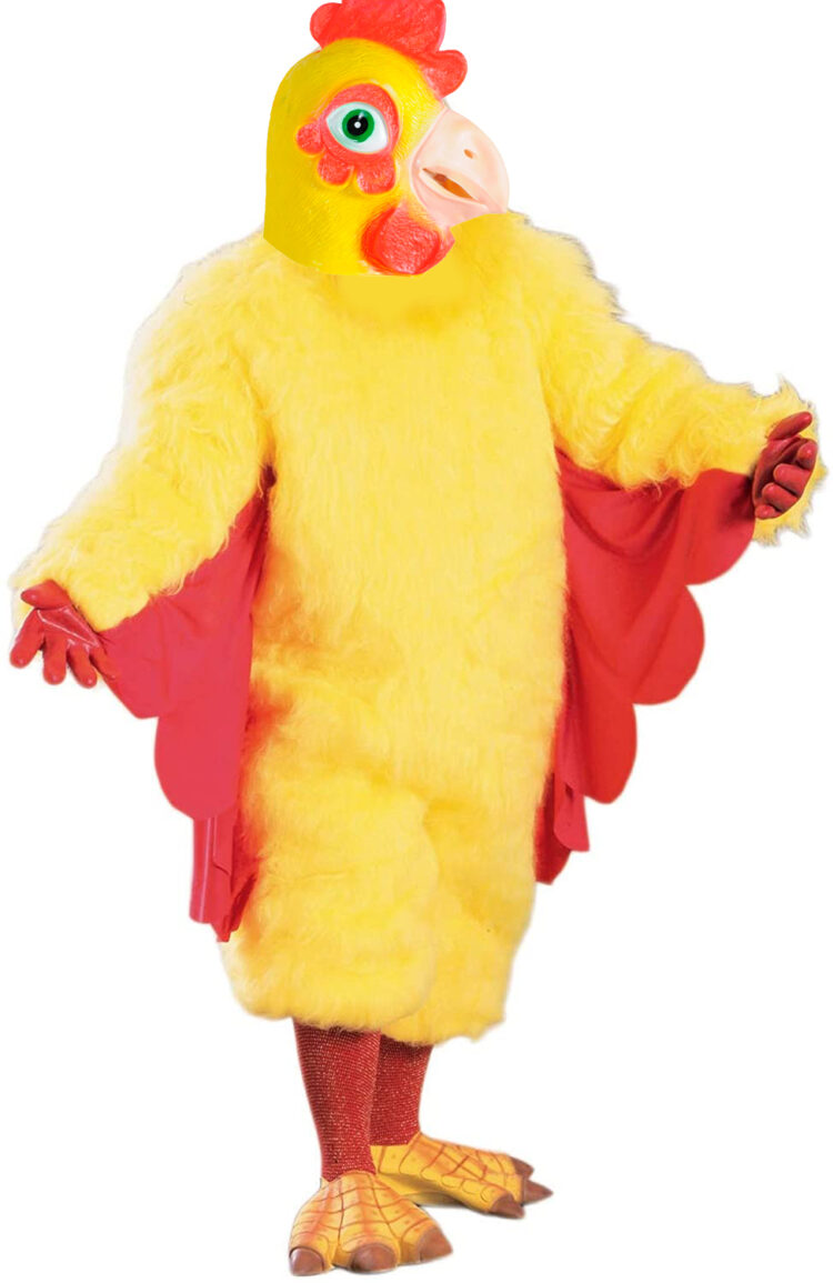 chicken suit