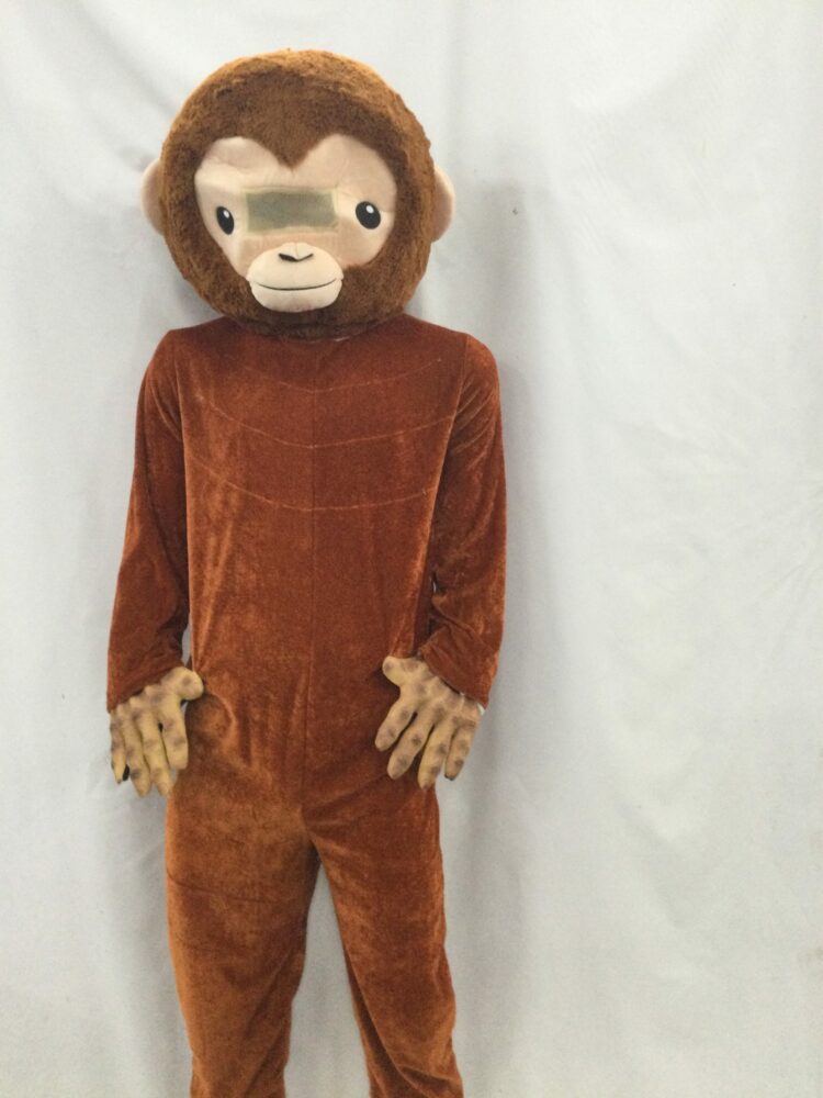 Monkey costume