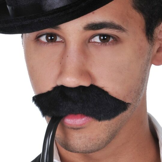 Mario Moustache 1 1.jpg