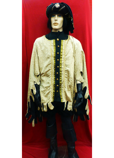 Medieval Winged Coat 2 1 1.jpg