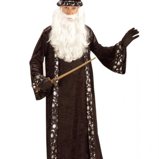 Mr Wizard Merlin Costume Std 1 1.jpg