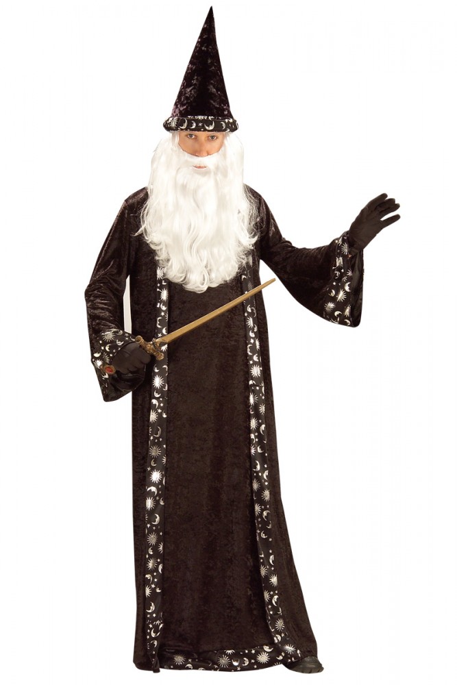 Mr Wizard Merlin Costume Std