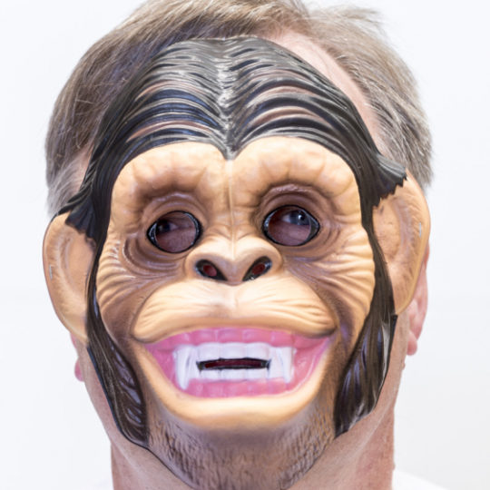 Plastic Chimp Mask 1 1.jpg