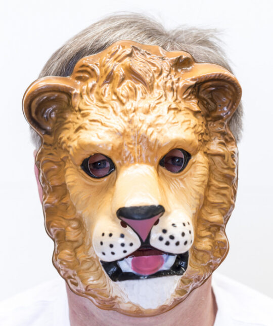 Plastic Lion Mask 1 1.jpg