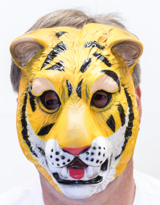 Plastic Tiger Mask 1 1.jpg
