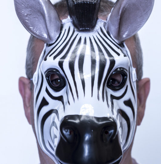Plastic Zebra Mask 1 1.jpg