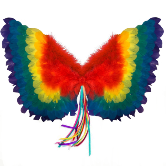 Rainbow Wings 1.png