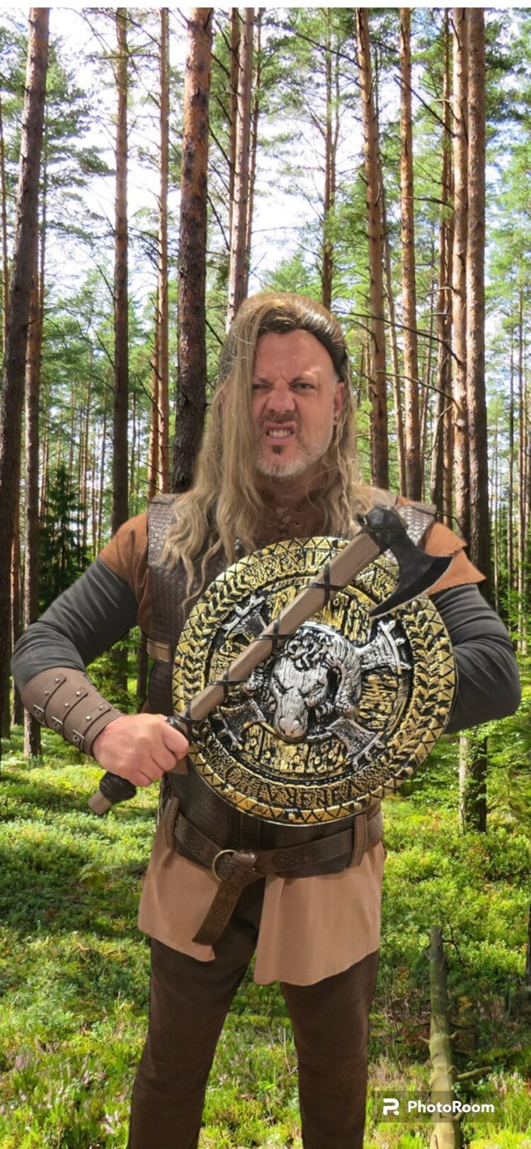 viking warrior costume