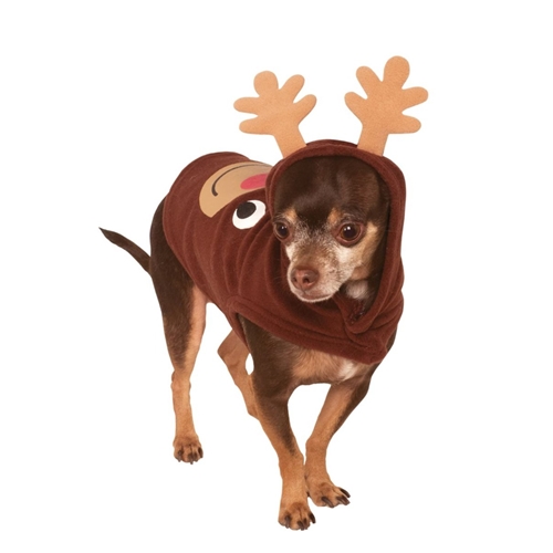 pet reindeer hoodie