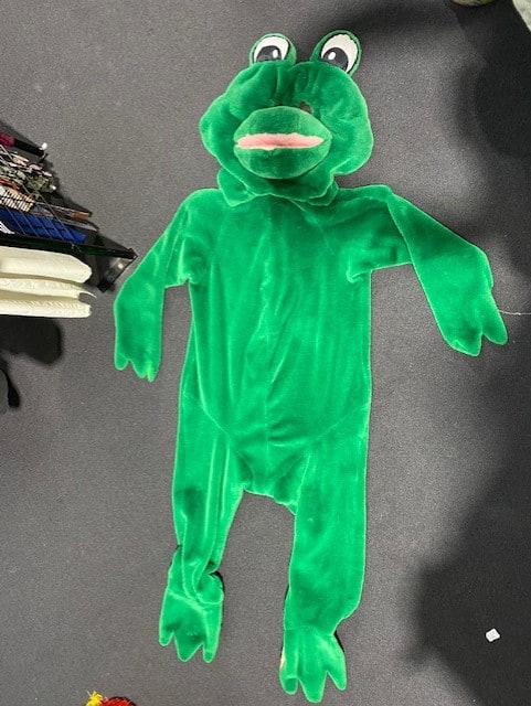 frog costume