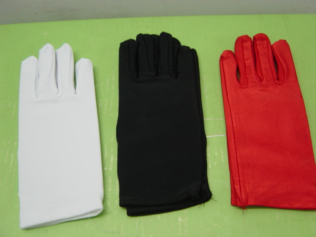 Gloves 1 1.jpg