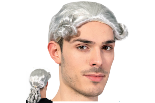 mens colonial wig