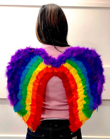 rainbow pride wings