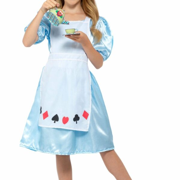 storybook alice costume 344216