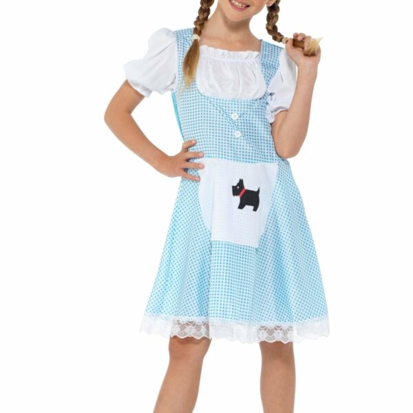 storybook dorothy costume 726447